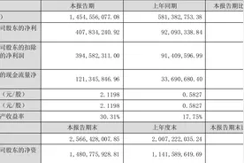 欧晶科技：2023年上半年净利润4.08亿元 同比增长342.85%图片
