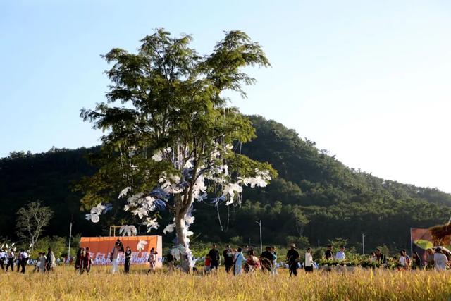 11月29日开幕！轻松get白沙“啦奥门”，戳进来看9大活动↘