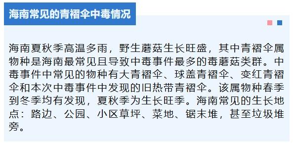 三亚3人中毒，国内首次发现！这种蘑菇千万不能吃！