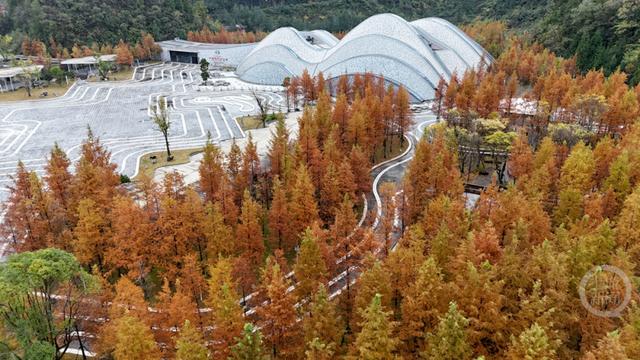 “口袋公园”冬景美