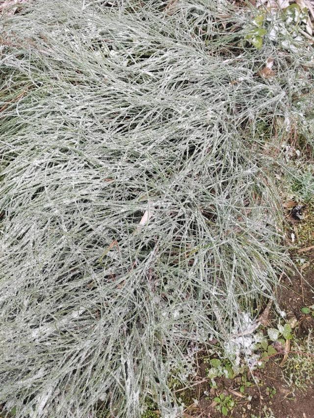 融水2026第一场雪来啦！你的朋友圈被刷屏了吗？