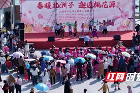 大通湖区北洲子镇：春风吹暖“花经济” 以花为媒产业兴图片