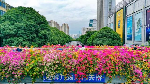 11月的浪漫被TA承包了！南宁“空中花桥”火了，秒变童话世界