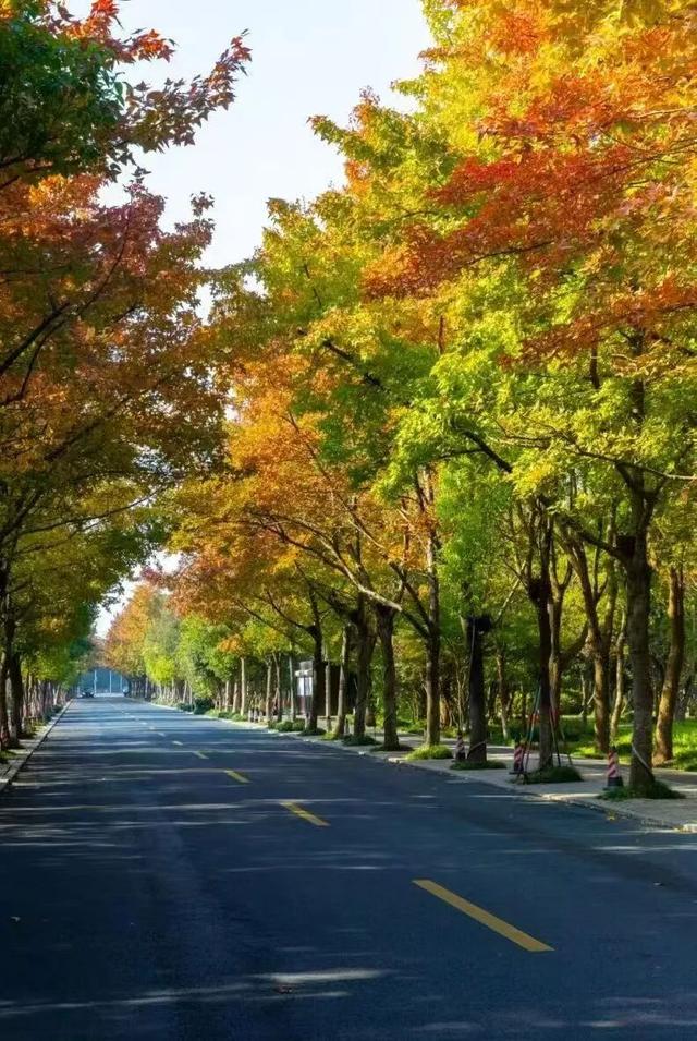 美翻了~这个秋假，来南湖吧！