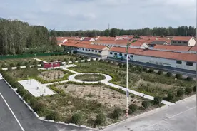 问题村蝶变幸福村！胶州后进村逆袭背后的治理密码图片