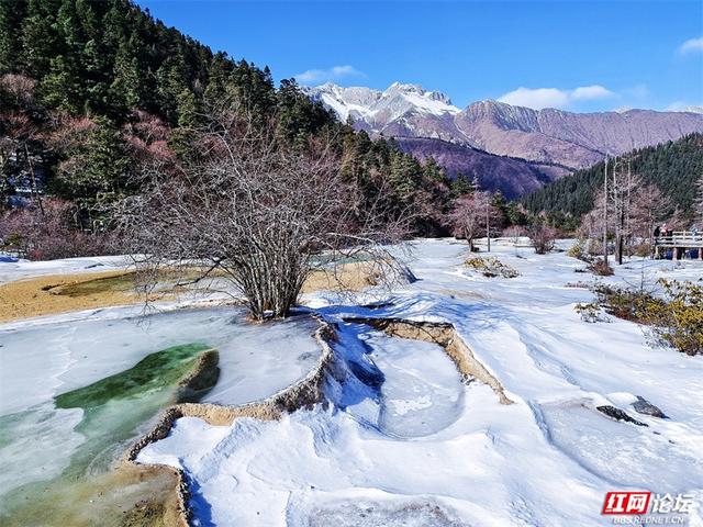 一半冰雪，一半碧波，冬日黄龙的色彩魔术