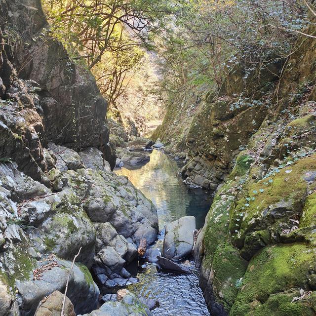 晚潮｜老家如梦：小佐坑峡谷的烟树秋色