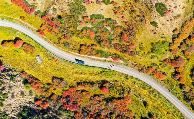 甘肃张掖：秋日祁连山风景如画 雪山金草绘就壮美诗篇