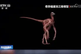 是真的！“福建终于有自己的恐龙了！”距今约1.5亿年→图片