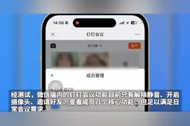 微信上能用钉钉开会了，网友发现最新版本新增重要更新图片