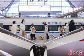 “武汉⇆武汉”环线高铁来了！图片