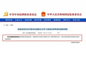 又一高官涉嫌严重违纪违法被查，曾任上市券商董事长图片