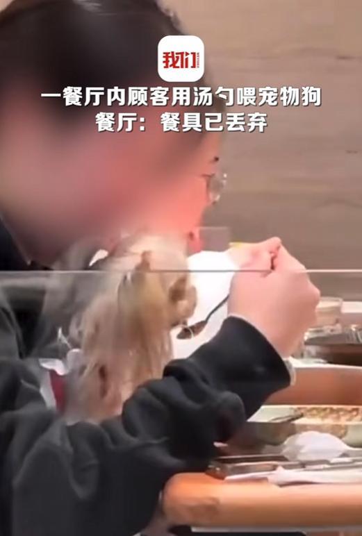 宠物狗饭店上桌吃肉？商家停业整顿，最新回应……
