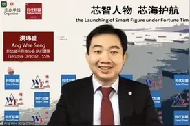 美对华芯片制裁，新加坡也将受伤？图片