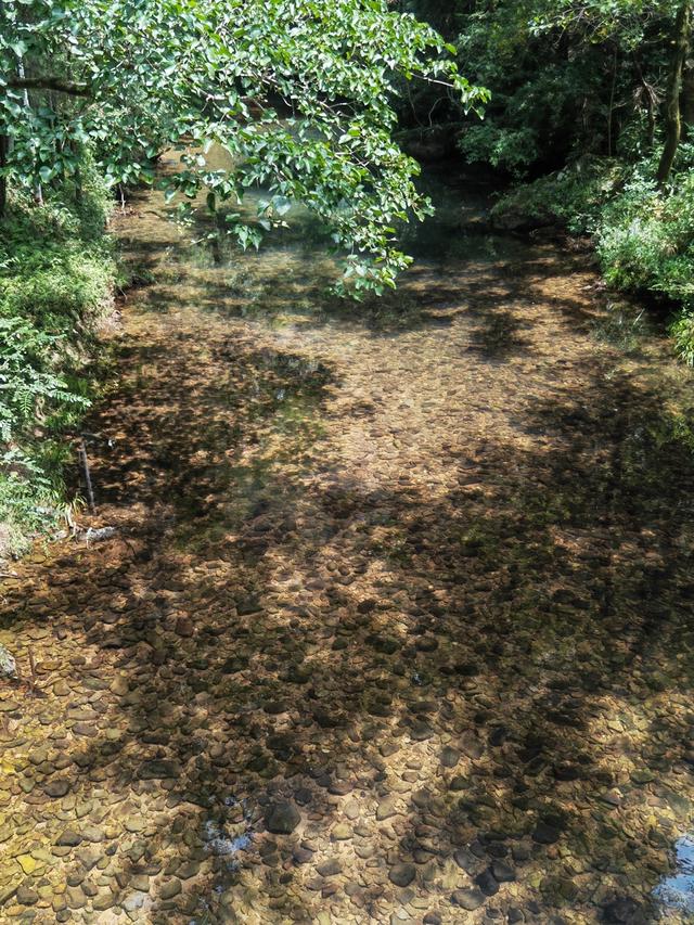 三天特种兵式打卡“雁荡山+楠溪江”，这份超详细攻略值得收藏！