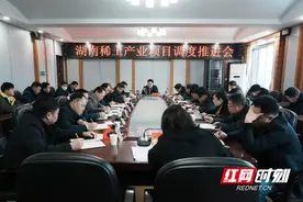 湖南稀土产业项目调度推进会召开图片