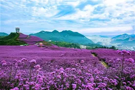黄金十月体旅缤纷 燃情赛事悦动红城图片