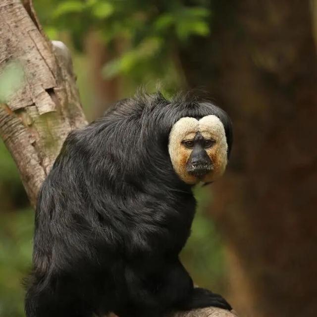 官宣！2026年南京43个景区免费开放日！