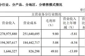 利润新高分红百亿，市场仍不买账？工业富联收入下滑险跌停图片