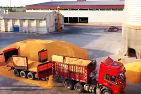 农业农村部采取积极措施促进粮价稳定 保障农民种粮收益图片