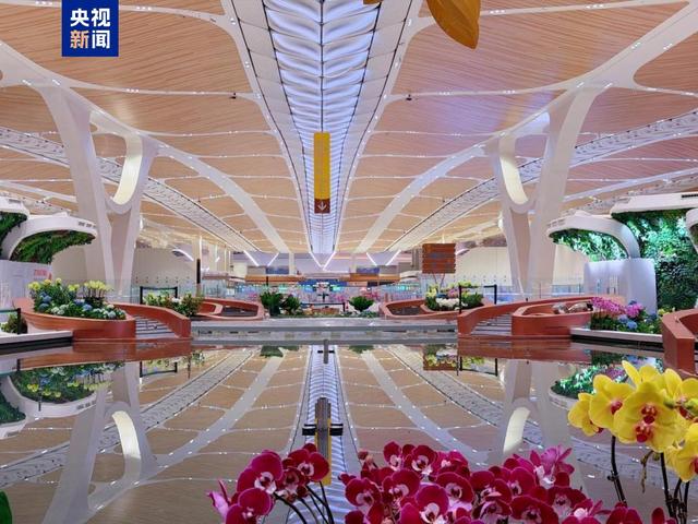 白云机场成国内首个五条商用跑道运行机场，大湾区世界级机场群加快建设