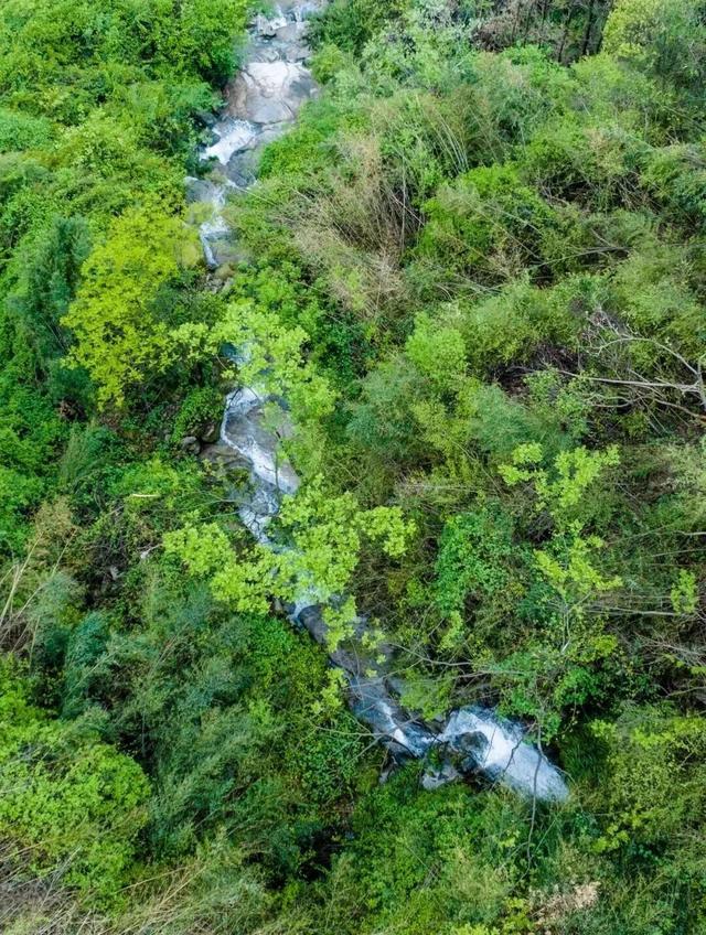周末去哪玩丨听说“长株谈”了，去逛逛？