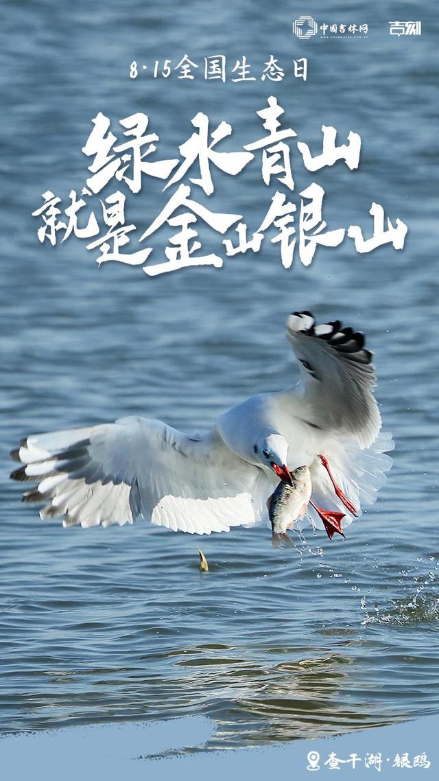 8·15全国生态日特别海报｜解锁吉林大地的生态密码