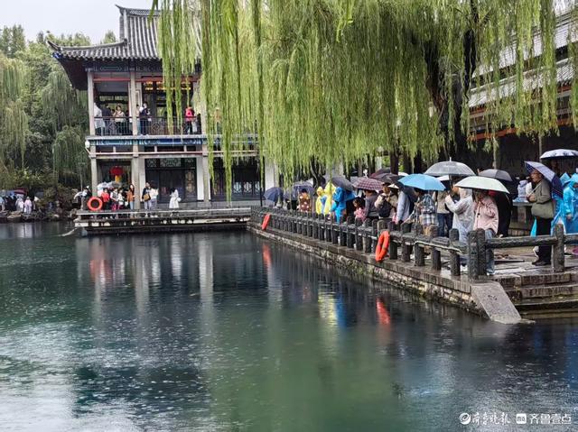 双节拍 | 雨中五龙潭，双节游园韵