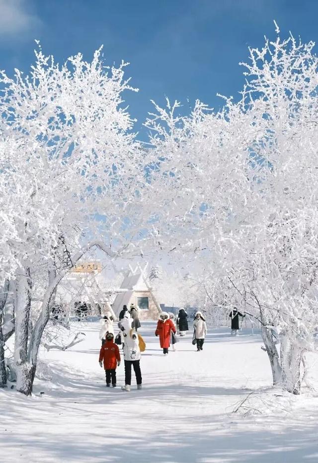 长白山下“一体多翼”→延边打造多元冰雪体验新标杆