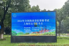 4772名考生，同比增长3.8%，2024年全国执业兽医资格考试（上海考区）工作顺利完成图片