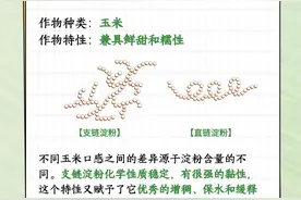 科普图解｜吃出健康来！生物育种助力餐桌“一键升级”图片