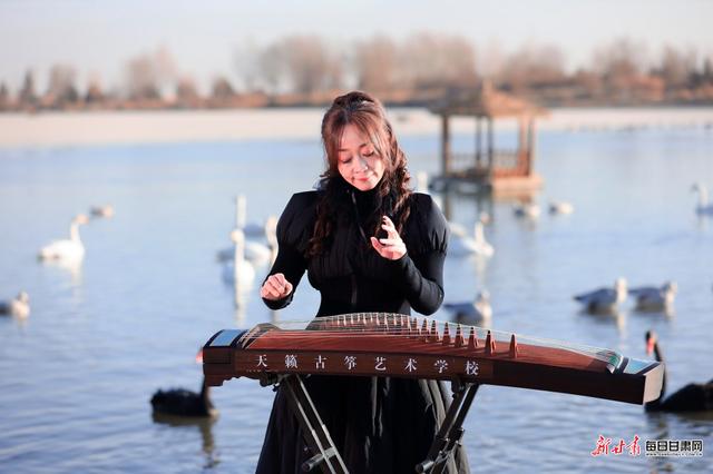 张掖湿地公园演绎初冬唯美景色