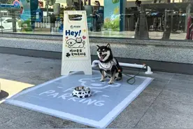 小角落里的大温暖，移动爱家不仅是服务更是陪伴图片