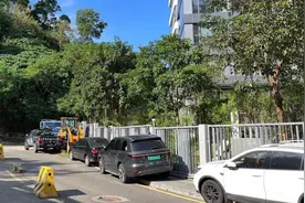 未移交道路乱停车怎么管？罗湖东晓社区政企社联动共治难题图片