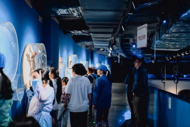 【亲子营】海南暖冬骑行总动员：和孩子一起，去山海之间撒个野，让快乐电量满格！