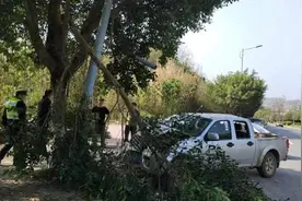 警惕“春困”！这种情况下开车，太危险！图片