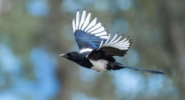 无锡最新追“星”指南，速收藏！