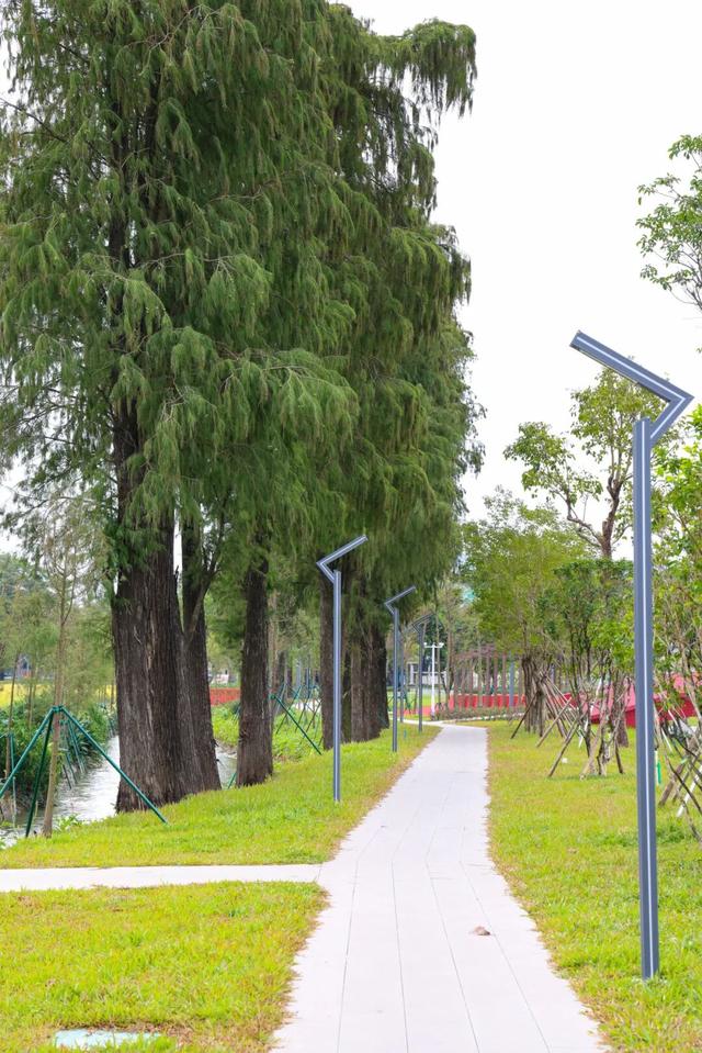 来东莞这片金色稻田，饮啡叹茶！