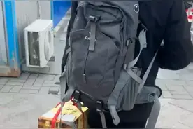 得知孙女备考压力大，安徽一爷爷带着小狗看望：是家里最胖的一只图片