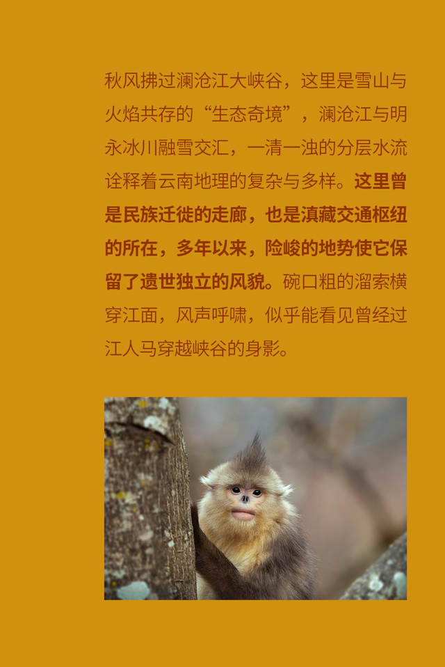 中国“旅居”天花板，为什么还得是云南？