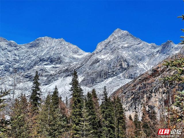 听，雪落下的声音！这里是四姑娘山的冬天