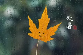 夜读丨秋爽来学，是时候静心学习了图片