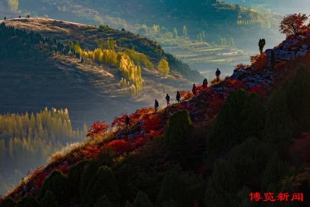 趣味无穷！秋日淄博博山赏红叶，这些打卡地玩法多样超好玩！