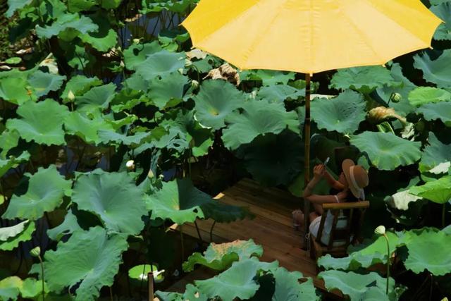 桂林这几个地方火了！超绝松弛感，治愈年末焦虑！