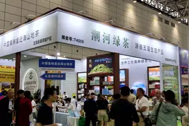 日照绿茶亮相中国（济南）第十八届国际茶产业博览会图片