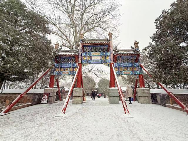 京城初雪如约而至！雪落无声，人游有影