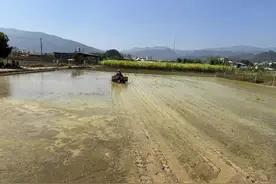 普洱奋力冲刺“开门红”：忙春耕、忙招工、抓项目、赶生产图片