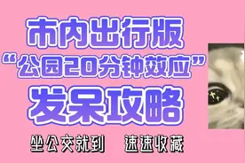 意犹未尽？赏花发呆攻略来噜（济南市内公交出行版）图片