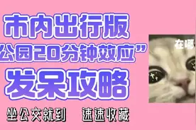 意犹未尽？赏花发呆攻略来噜（济南市内公交出行版）图片