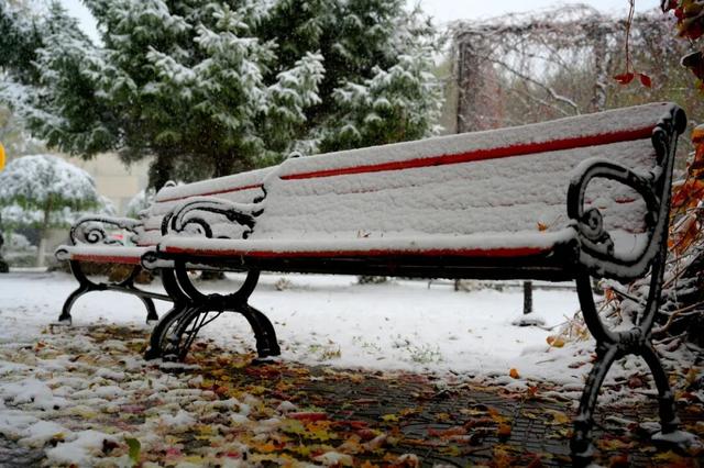 12月，必须来沈阳了！